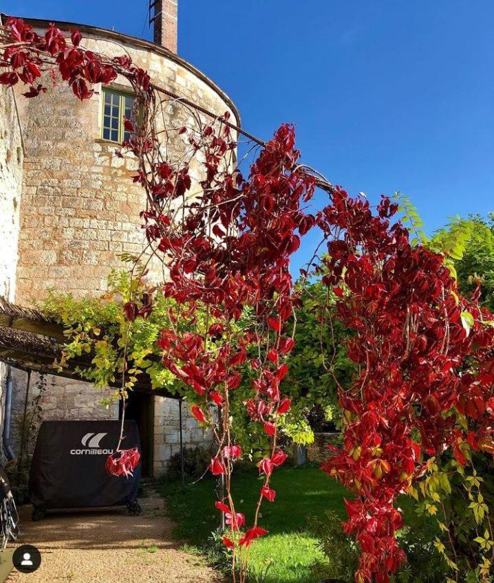 Cote-Serein La Privilege De La Tour Madame Noyers Bagian luar foto